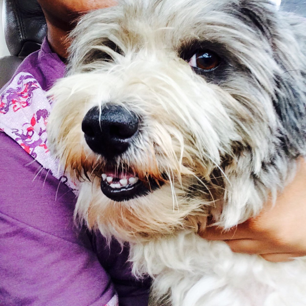 Snowcar4341's profile picture. 