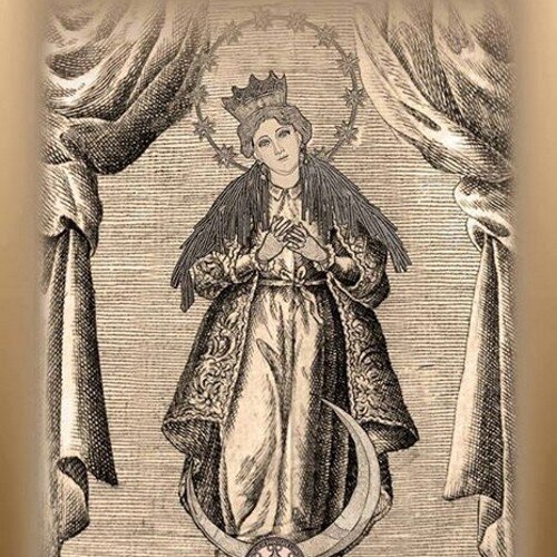 angelusboche's profile picture. 