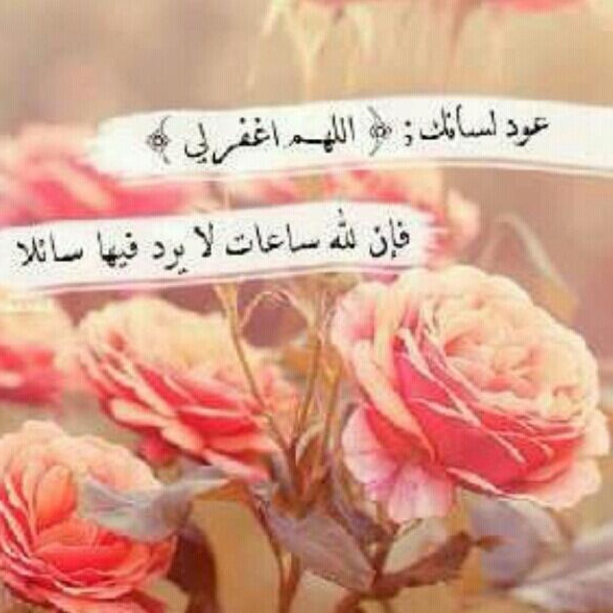 اسال الله الذي جمعنا في دنيا فانيه أن يجمعنا ثانيه في جنة قطوفها دانيه ”