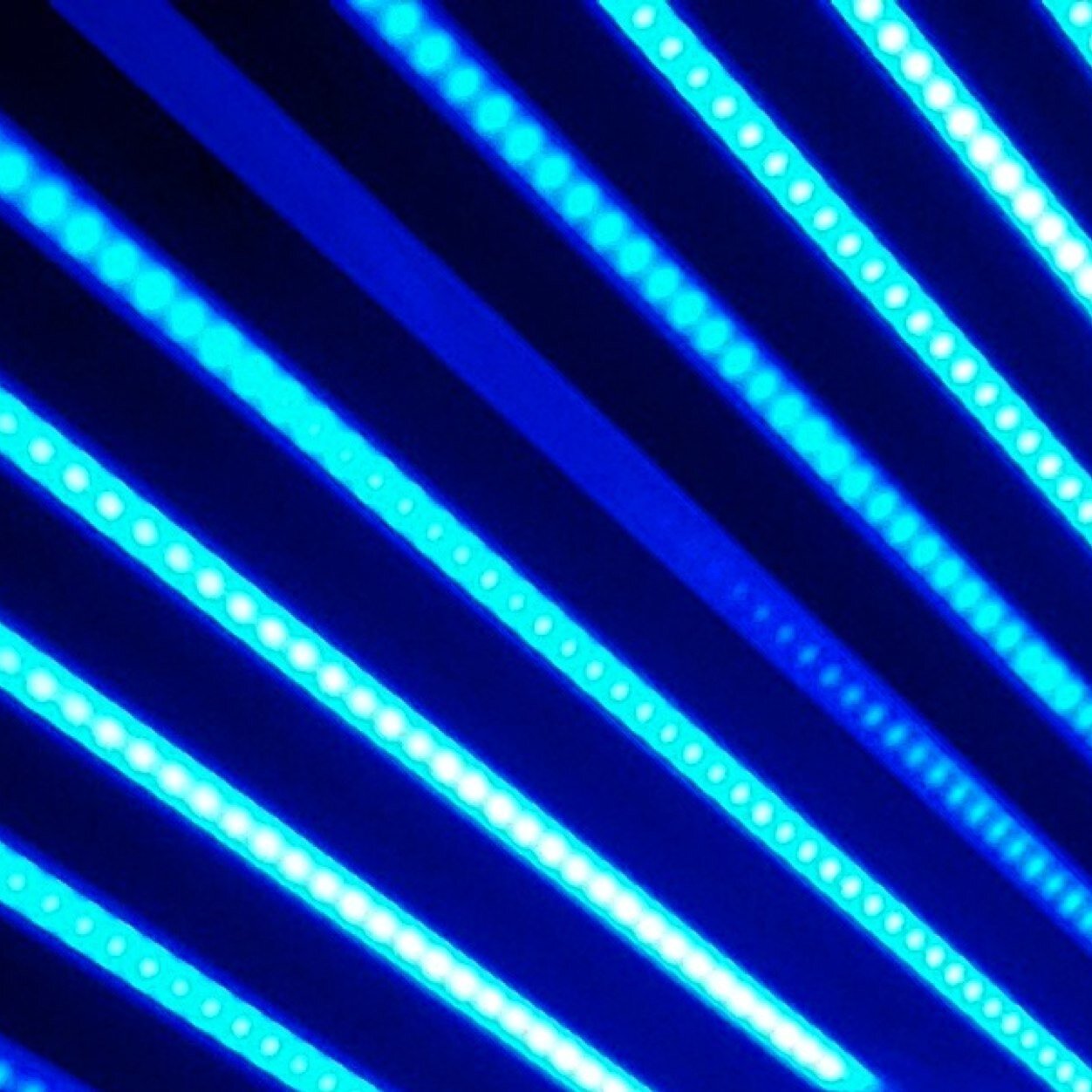 halfjavanese's profile picture. RT/RW Patang Puluhan