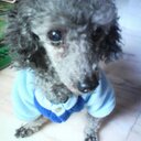 Elisa. Wu - @NonoElisa - Twitter