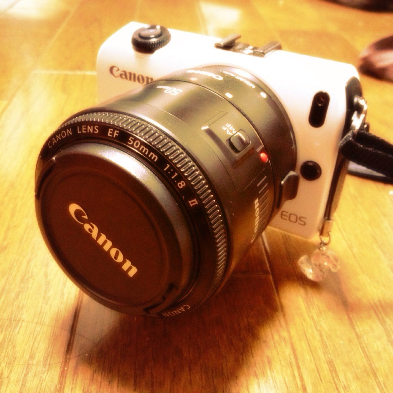 sena_yamada's profile picture. 主にライブ写真。※それぞれのURLはSafariで開かないと写真保存できません※