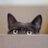 jillhenkel's profile image