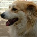 Carson Pope - @carsonpejag - Twitter