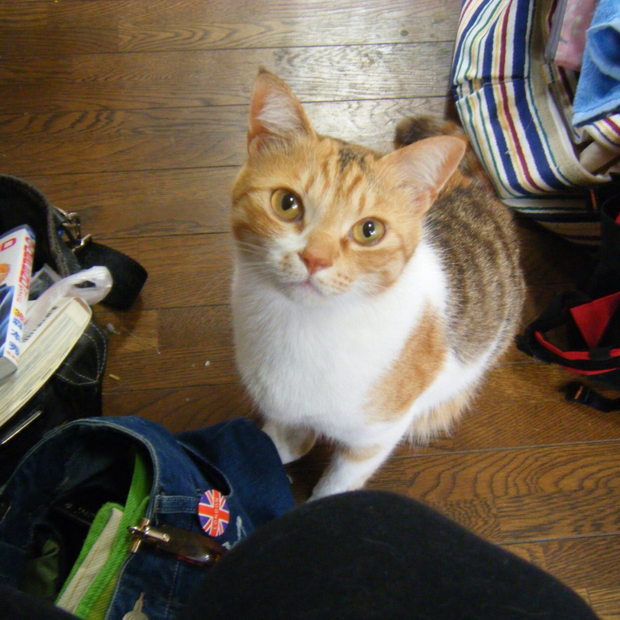 ms_rein's profile picture. 