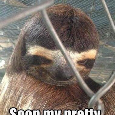 MitchellsSite's profile picture. To Have Fun With Little Kids!