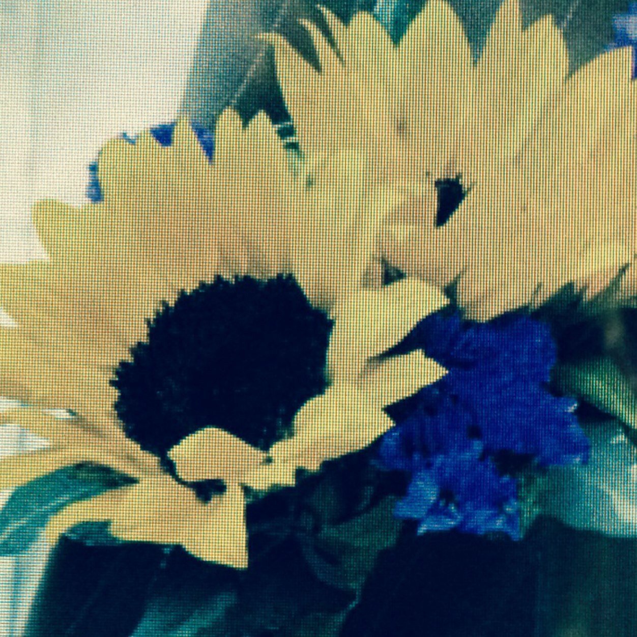 kjsmom5's profile picture. 