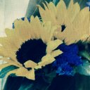 Kelly Simonton - @kjsmom5 - Twitter