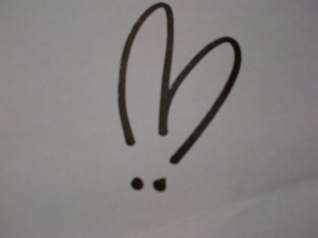 AnimalsUsAll's profile picture. Who do we think we are