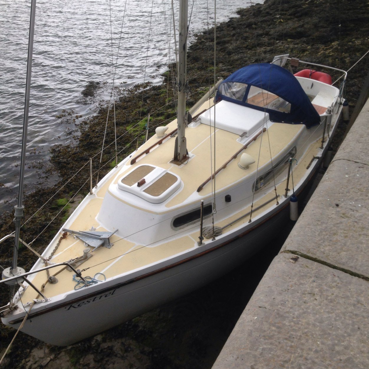 stevo2829's profile picture. 