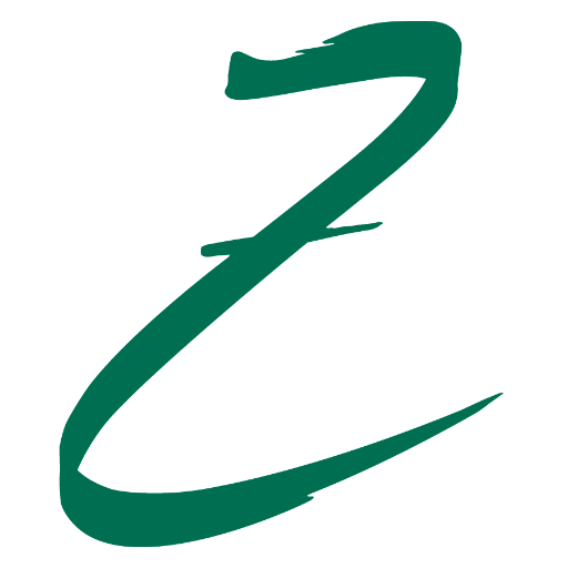 ZJ Foundation Profile