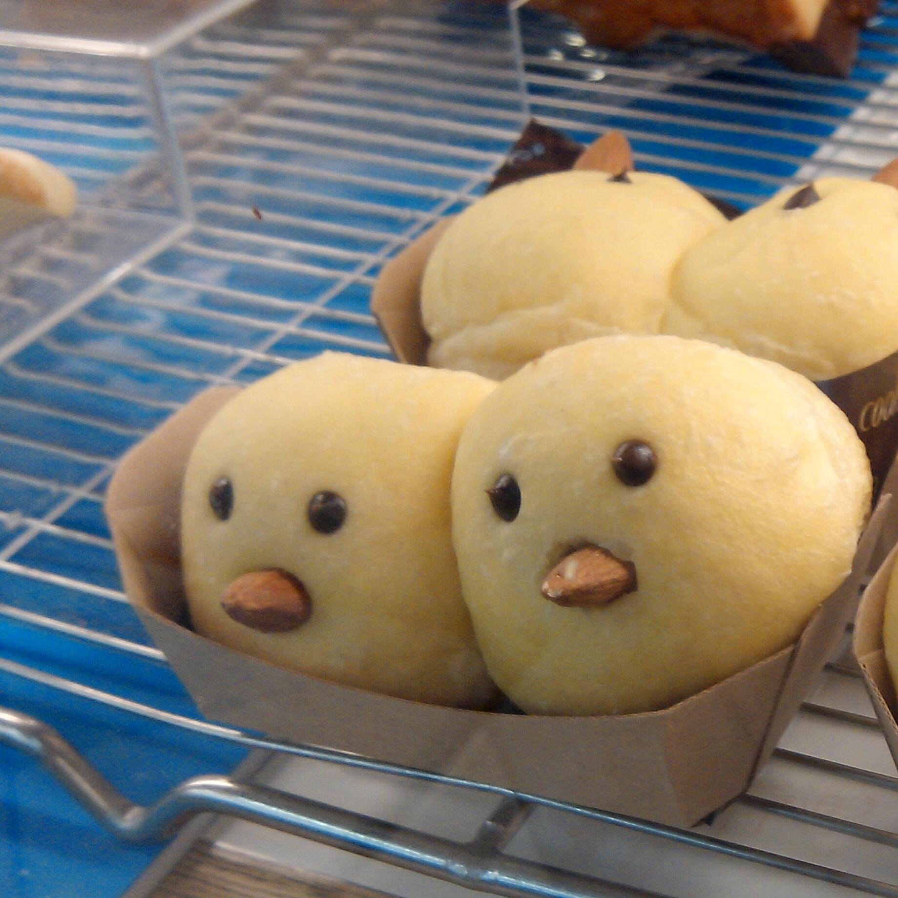 taropotato's profile picture. 