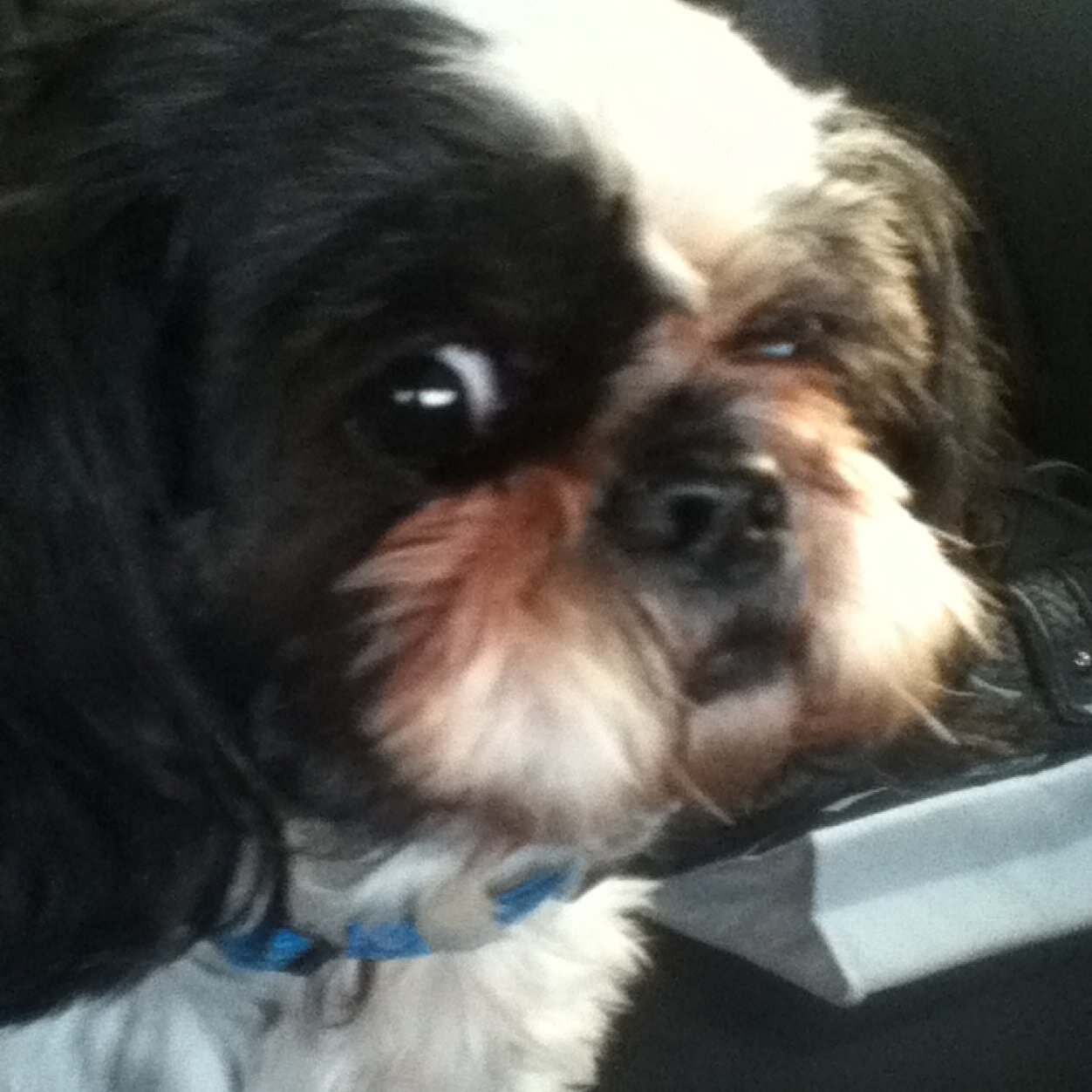 madisyn_reid's profile picture. 