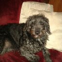 Caroline Almond - @CarolineAlmond3 - Twitter