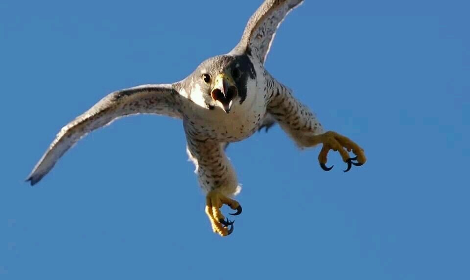 ‏‏ومن يتقي الله يجعله مخرجا ويرزقه من حيث لا..يحتسب