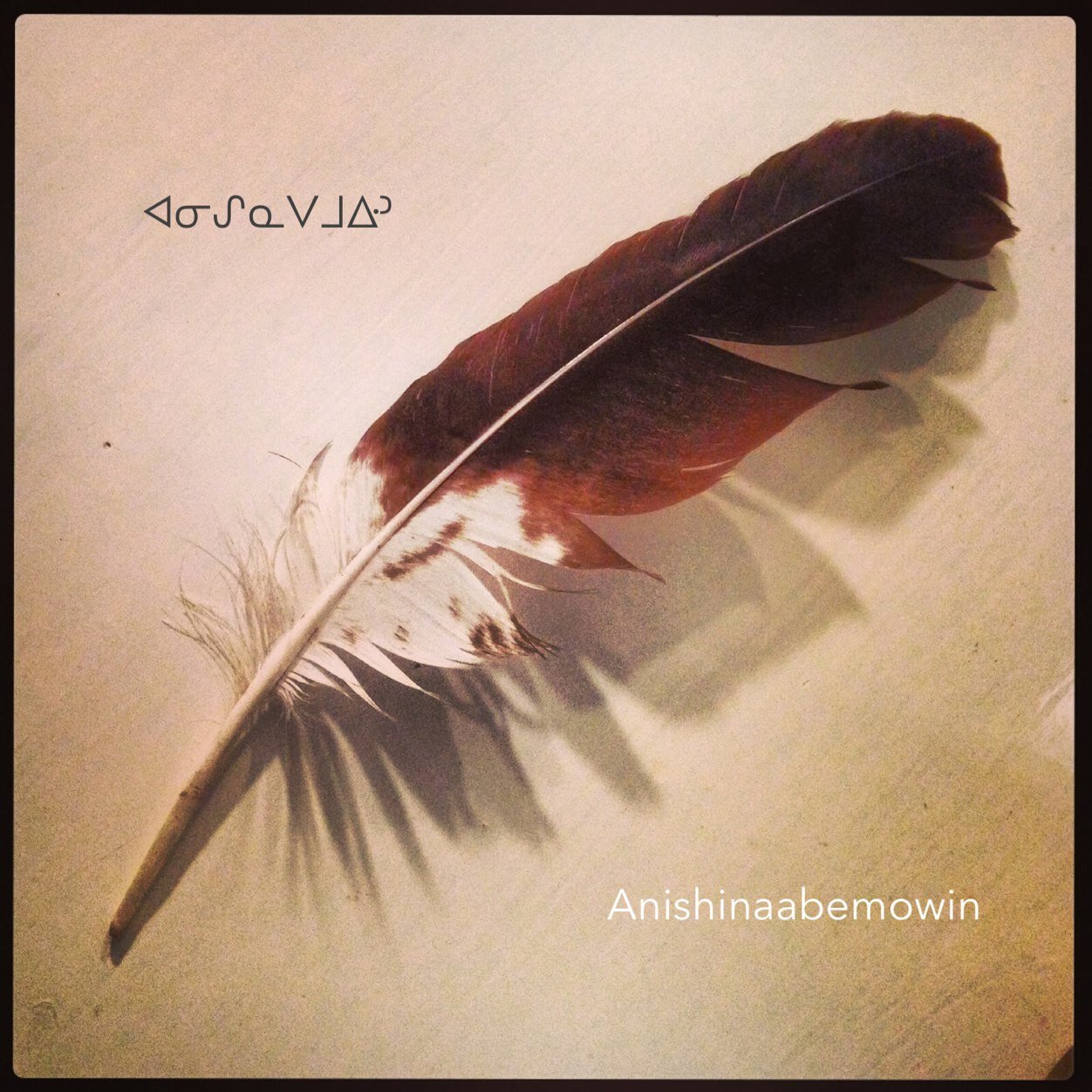 Tweeting/retweeting Ojibwe language in fierro and syllabics (western finals). Feel free to share you dialect writing for retweet!