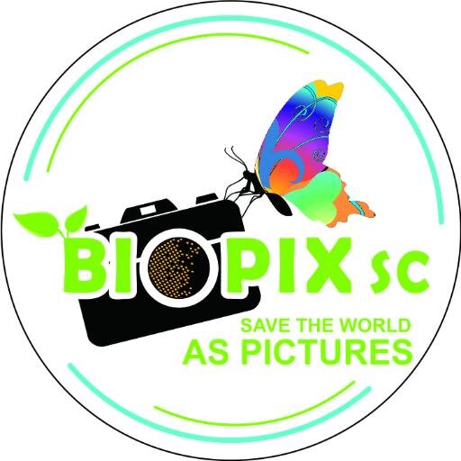Kelompok studi dan pecinta fotografi dari Biologi FMIPA UNS Surakarta.
Contact : pixeluns@gmail.com / 081319022552 (Iqbal)