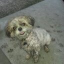 Katherine Singleton - @kiskat81 - Twitter