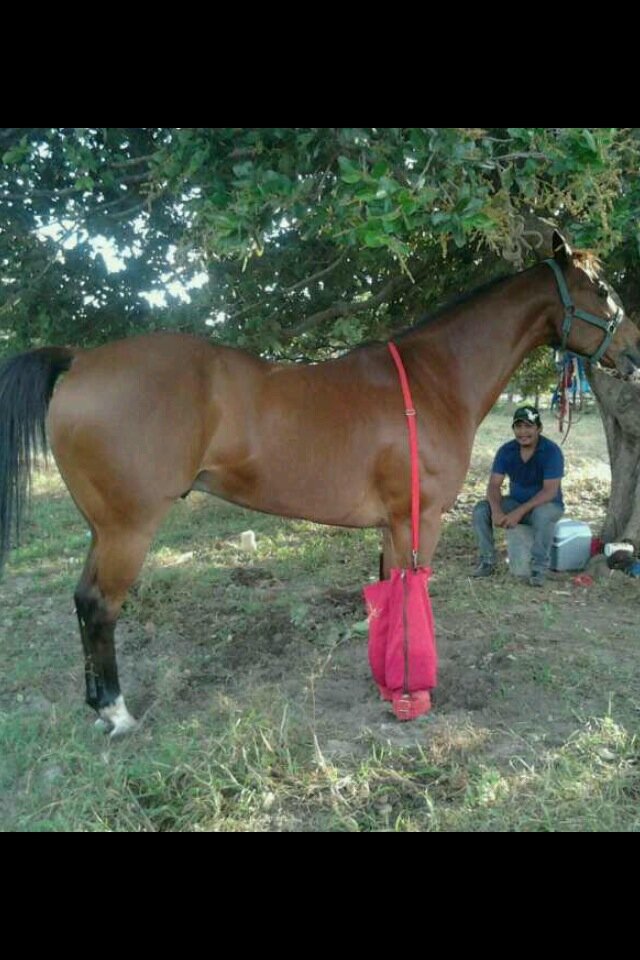 KatchCastellano's profile picture. 