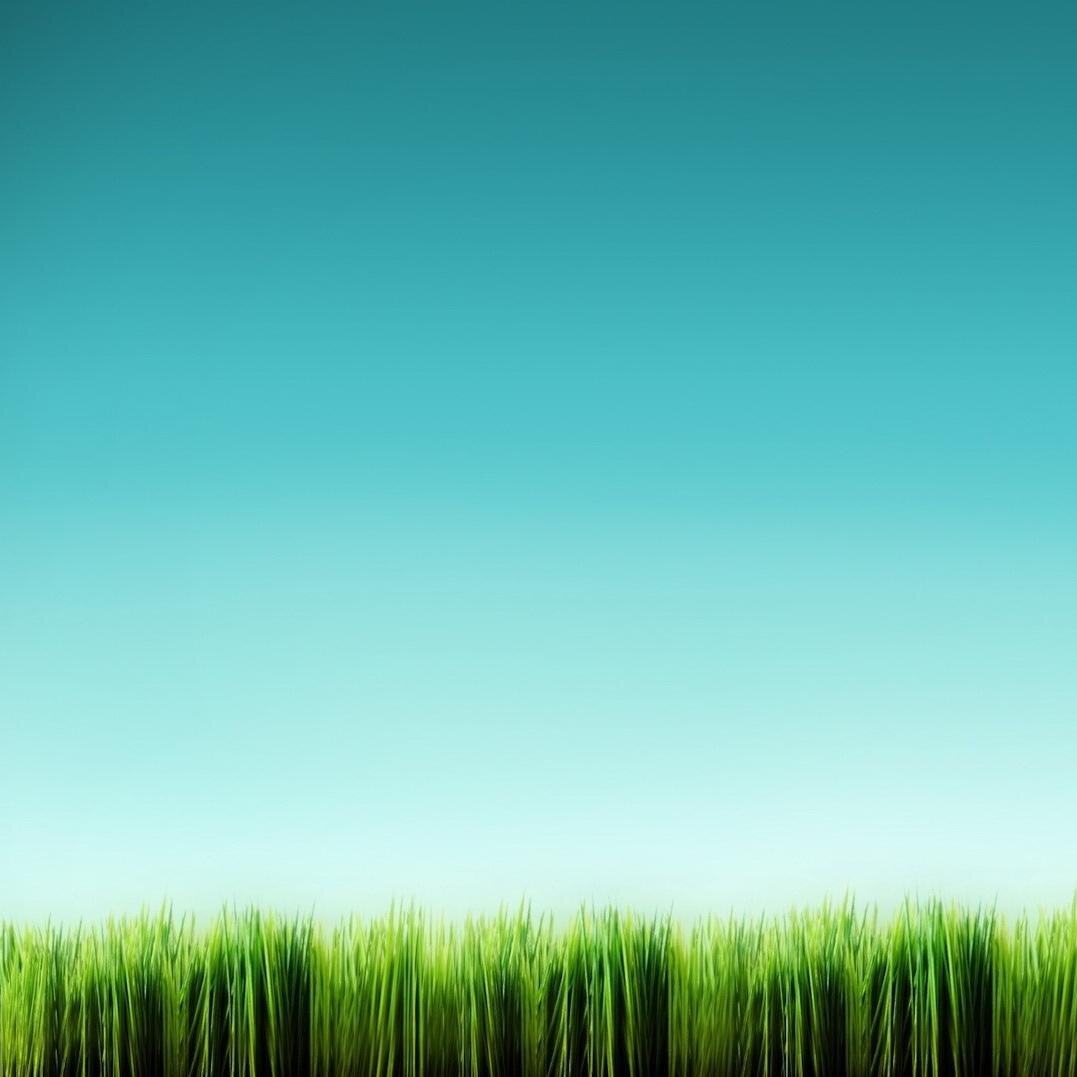 black_zircon's profile picture. zirc0nium _ field