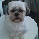 wayne nettleton - @WayneNettleton - Twitter