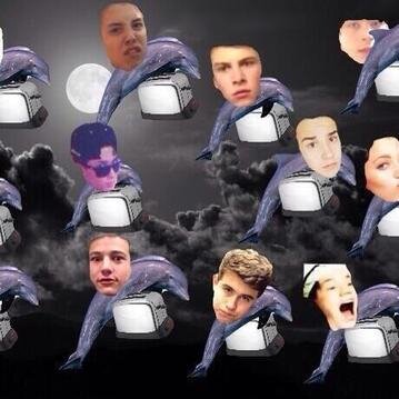 Averymobley's profile picture. loveing life and also o2l love my friends