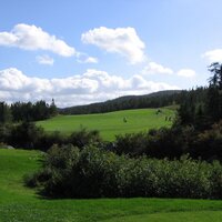 Scott Sleep (@scottsleepy) 's Twitter Profile