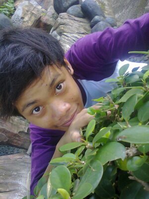 enjoy aja
