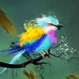 maccari_m's profile picture. 