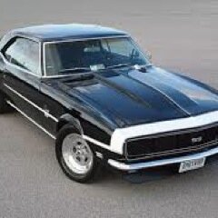 daytonbrock13's profile picture. 