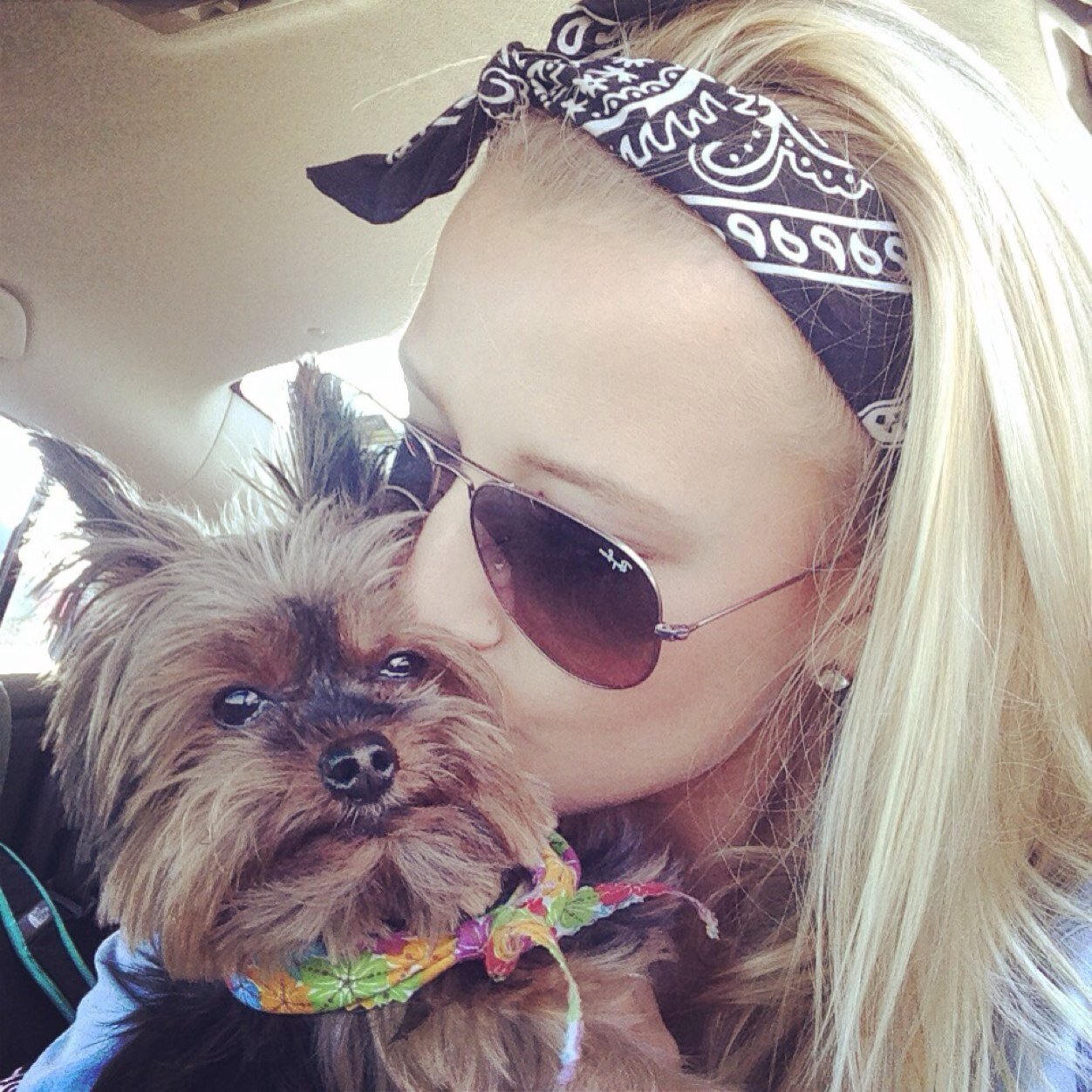 lilkraut09's profile picture. 