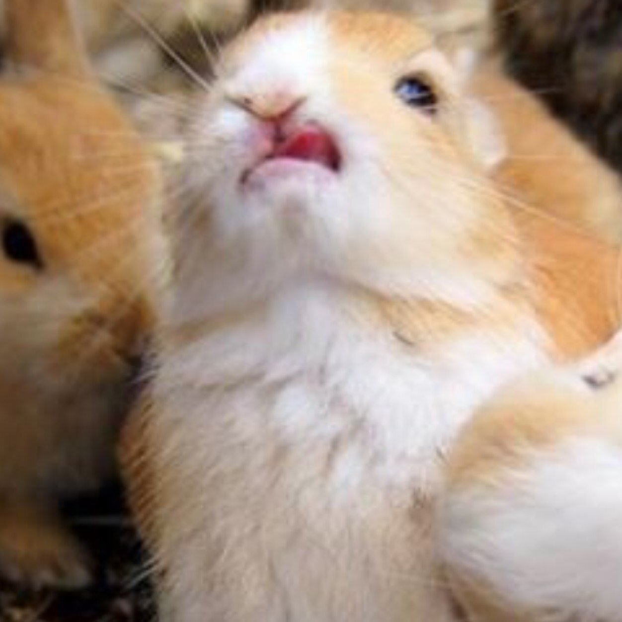 nostopgoaway's profile picture. 