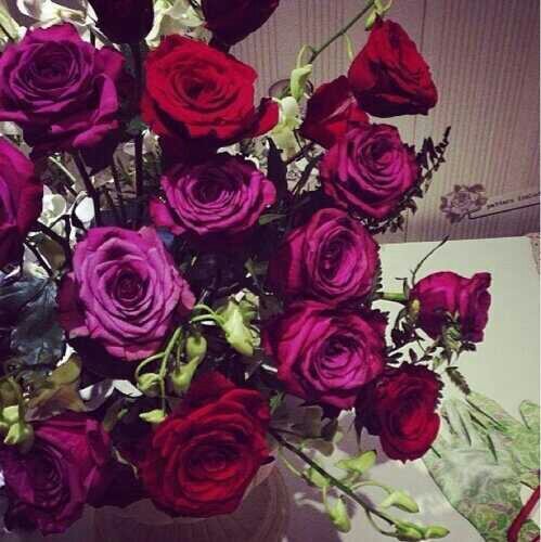 امتلك قلبااَ لاينكر مننَ كانَ بههَ يومااَ )♡'*music*