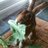 5BunFun's profile image