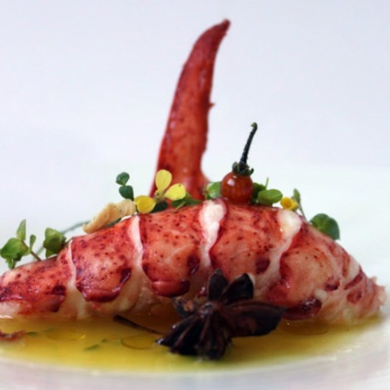 Servicio de banquete para todo tipo de eventos, laborando con http://t.co/Twt7kAzh0o Tel(s) : (55) 4535-0321 (55) 4900-1373
