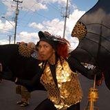 ViolinsDomestic's profile picture. Domestic Violins, A.K.A.Small Islanders is an old-time, calypso string band. Voices, violins, cuatro and drum.Based in Cardiff South Wales UK.