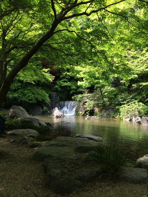 お気に入りの言葉をつぶやきます（予定）