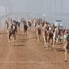 MaidanTabuk's profile picture. أخبار نادي الفروسية والهجن بتبوك .. وميدان تبوك ..