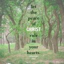 Freddy Quiroz - @boggzQ - Twitter