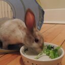 Maurice Leduc - @MauriceLeduc2 - Twitter