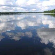 Red Lake Association - Est. 2005