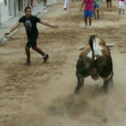 Javierreyes95's profile picture. 