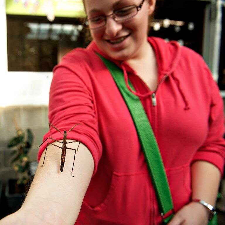 Alli187's profile picture. 