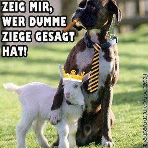 Ich bin let's player auf Youtube.