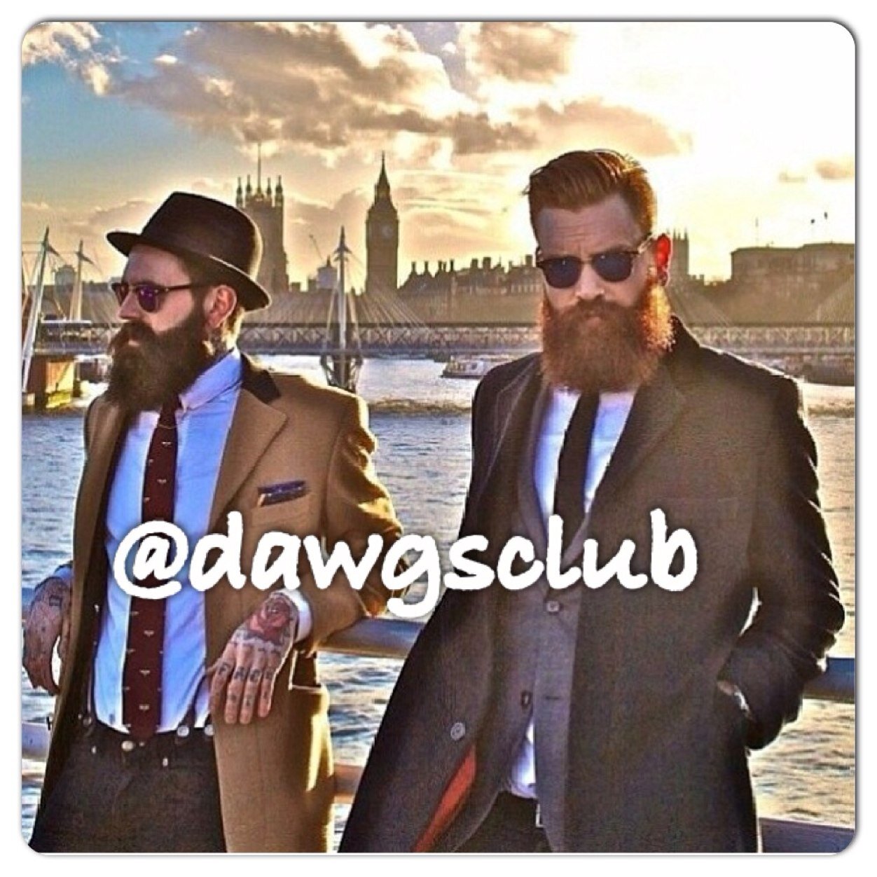 dawgsclub's profile picture. dawgsclub@hotmail.com