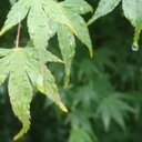 Terri Moyer - @TerriMoyer - Twitter