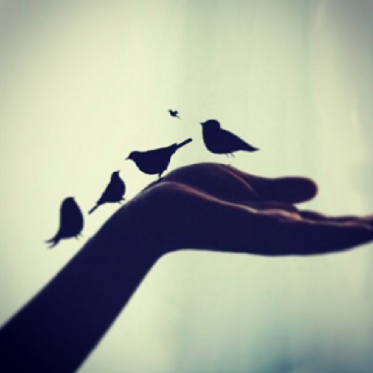 القلوٌب الجميلہ هي مَن أحبّت الخير لِغيرها مِثلما أحبتہُ لِنفسہَا ♡