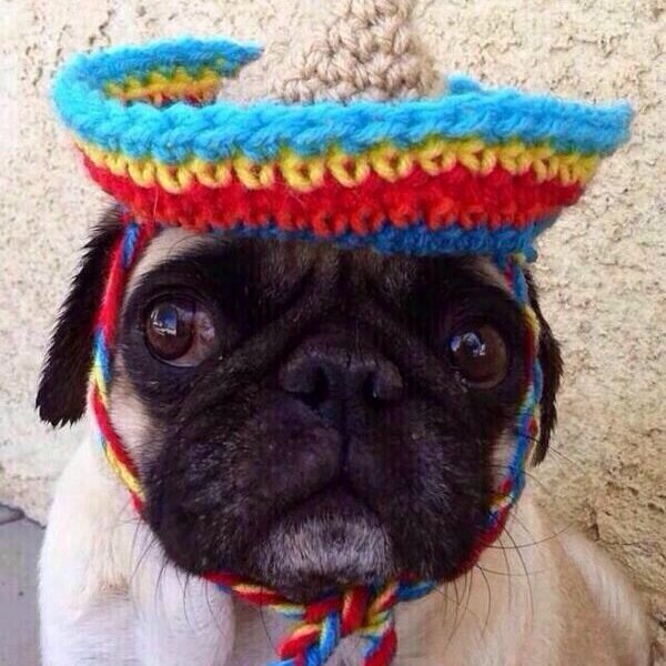 Hola amigitos, soy yo, Taco Juan (the third)