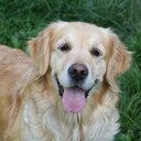 ashley patel  - @ashleypatel15 - Twitter