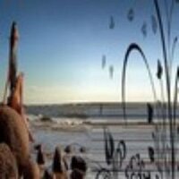 Лилиана Яковалева (@nigmutalan) 's Twitter Profile